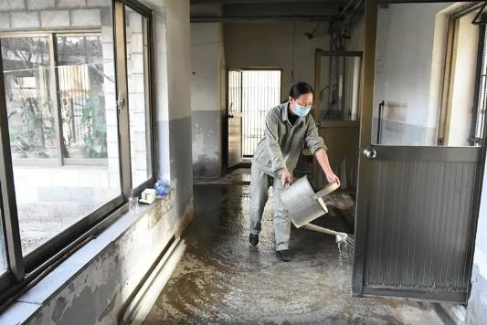 石家庄疫情全面放开最新消息，曙光初现，城市迈向全面恢复之路