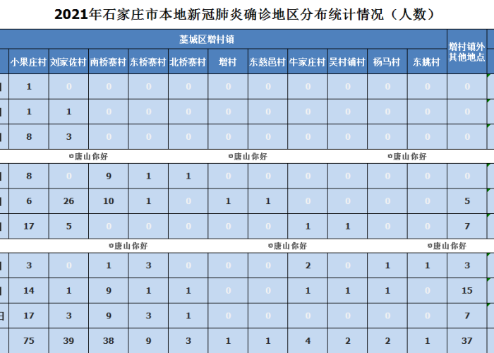石家庄疫情放假时间分析与展望，未来趋势探讨