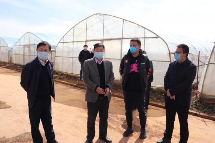 村委会开具疫情无收入证明的重要性及其影响分析