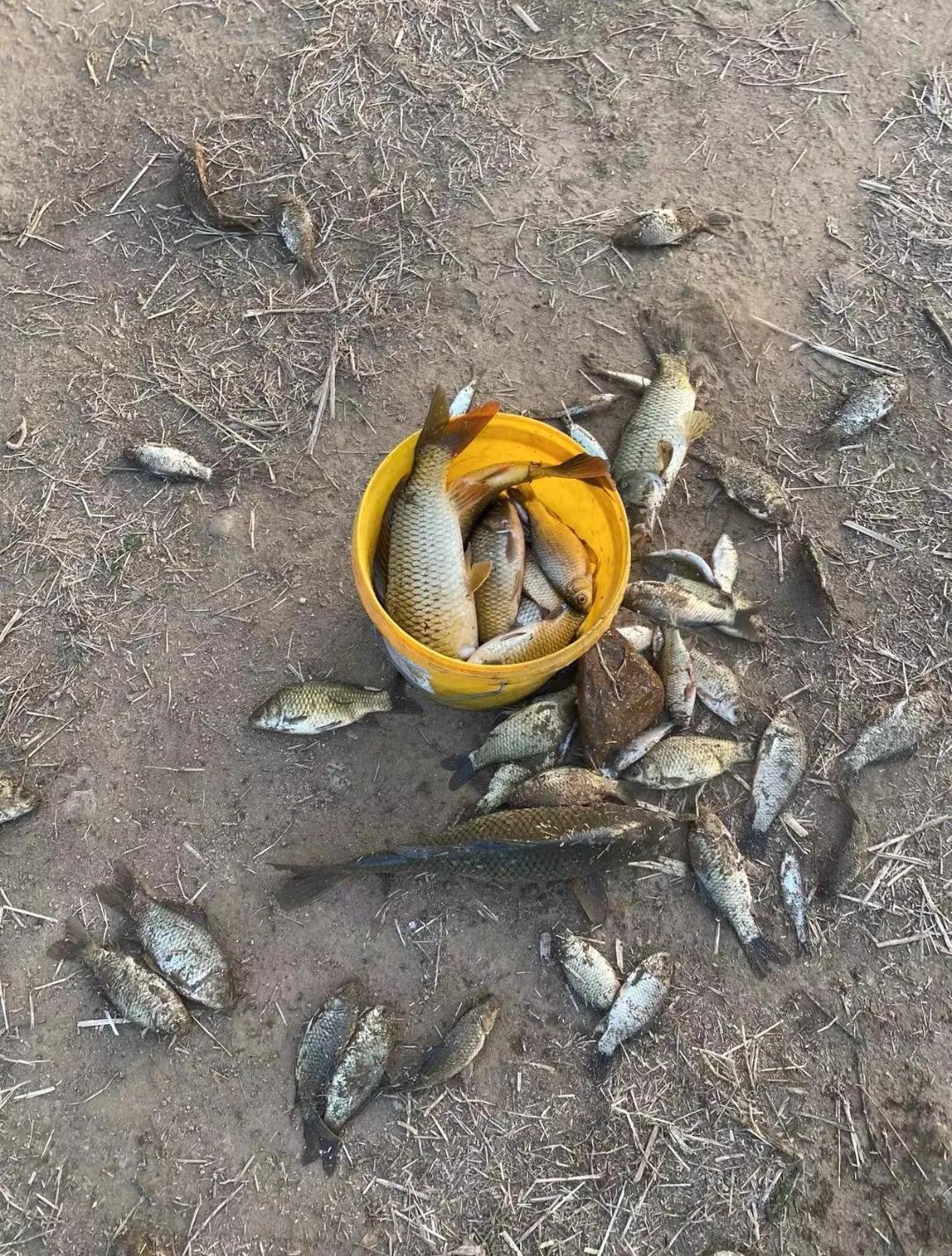 疫情解封，希望与变化的交汇点