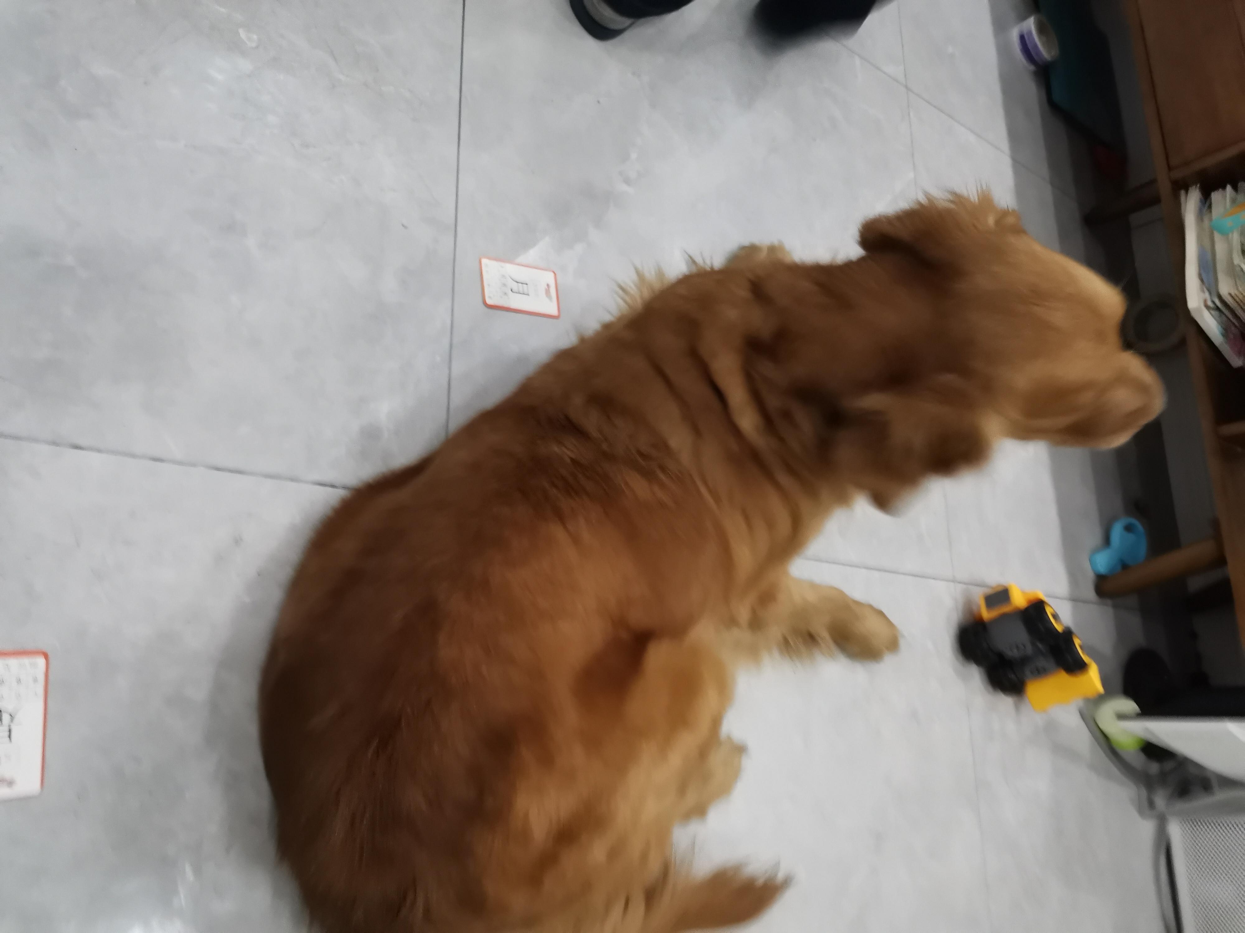 疫情隔离逾期证明图片详解，获取与正确使用指南