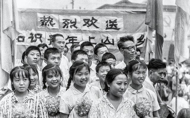 疫情影响下证明材料的重要性及其应用场景解析