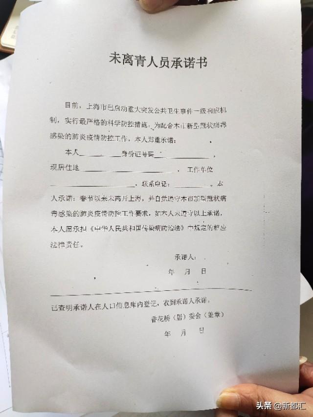 疫情下无收入证明范本图片，探索应对挑战的新途径