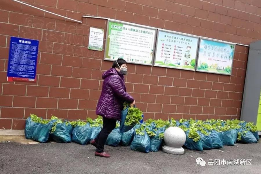 邻里温情，疫情教授与我家的成长故事