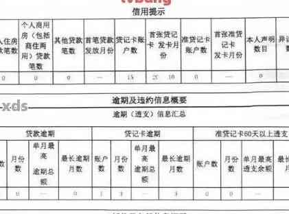 疫情下逾期征信报告调整申请指南，撰写步骤与注意事项