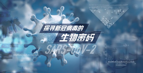 新冠病毒起源之谜，疫情首发城市揭晓