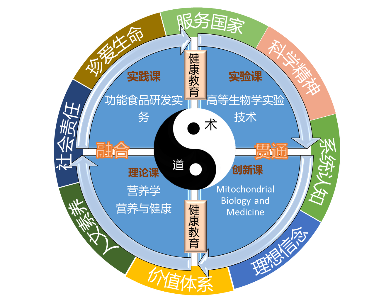 疫情起源探究，全球公共卫生挑战的开端