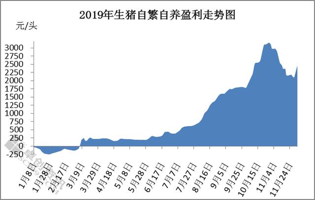 疫情解封之路，曙光初现的希望与未来展望
