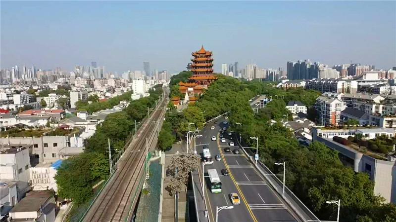 疫情开放趋势的全面审视与前瞻性思考