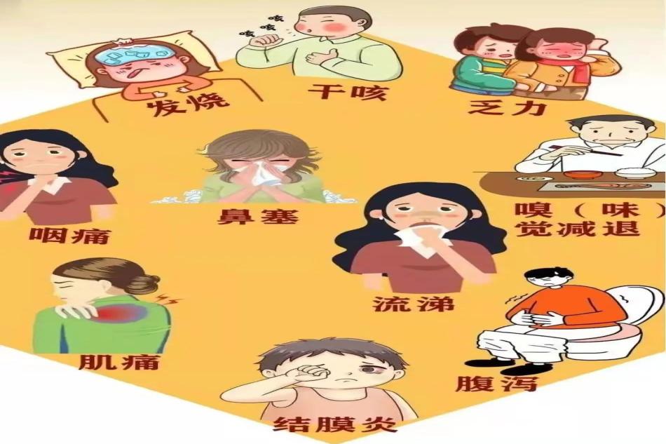 新冠疫情症状解析，识别典型症状与表现