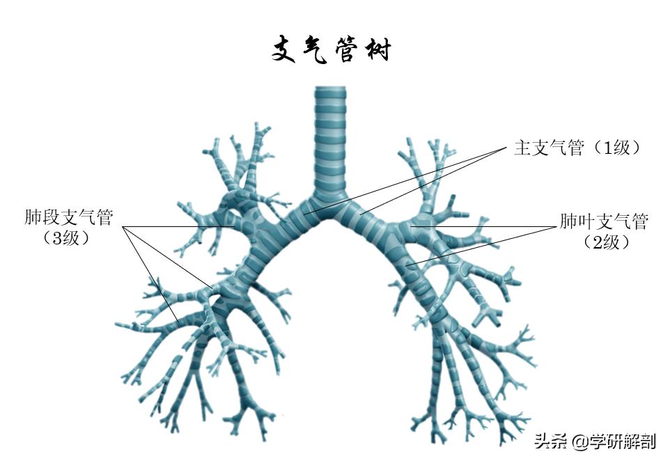 新冠疫情起点时间的探索与面临的挑战