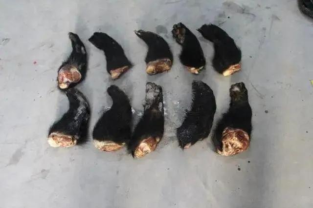 湖北疫情，回首历程，铭记教训