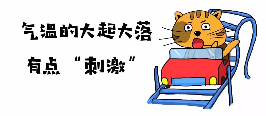 哈市感冒疫情最新动态，关注与应对策略