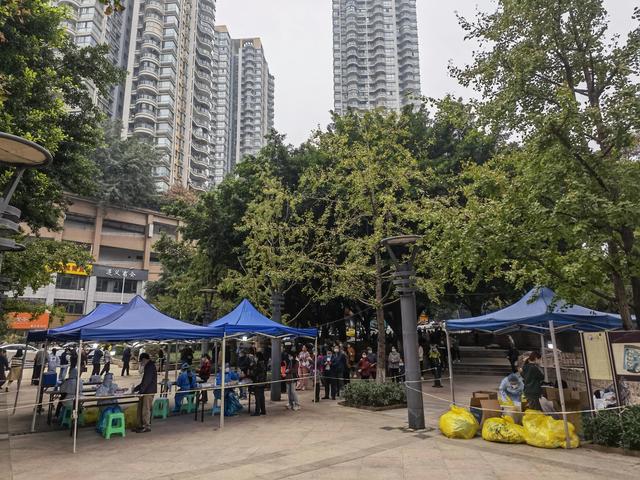 重庆疫情最新动态，状况分析与应对策略