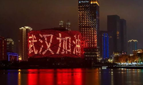 武汉疫情爆发与希望交织的2020年挑战与机遇并存