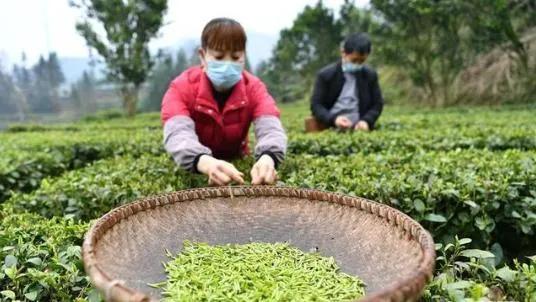 中国疫情开始的时间及其深远影响