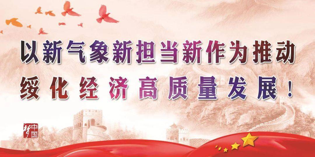 首次疫情时刻，挑战与希望的交织篇章
