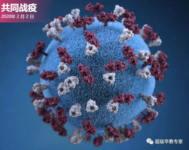 武汉疫情起始时间探究，揭开疫情起源的真相