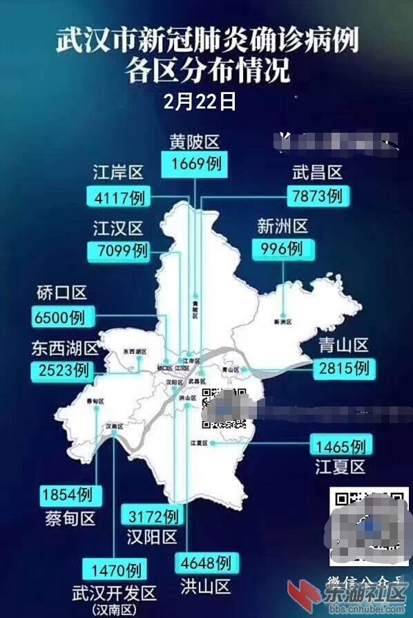 武汉疫情爆发初始概况
