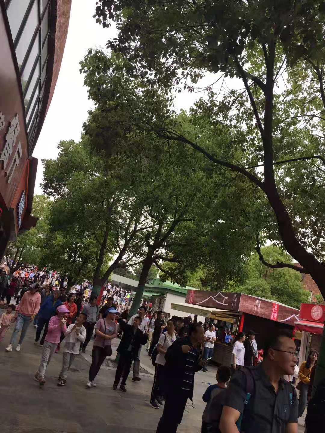 全球视野下的疫情开始与2019年回顾