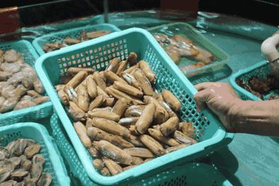 全球疫情最新动态及应对策略更新报告