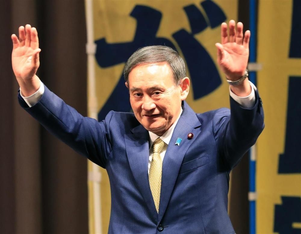 全球疫情动态，最新国际新闻疫情信息解析