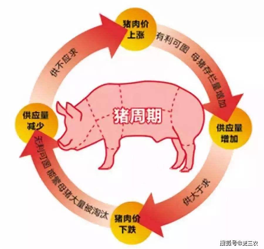 疫情回溯与反思，疫情起源及其影响