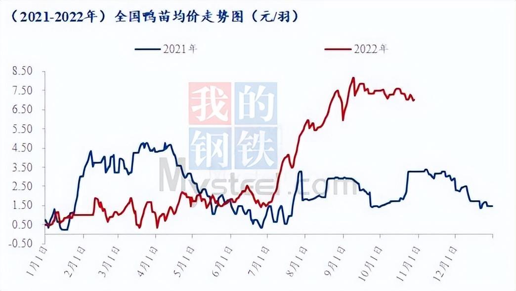 关于中国疫情未来趋势的探讨，2024年是否会再度严峻？