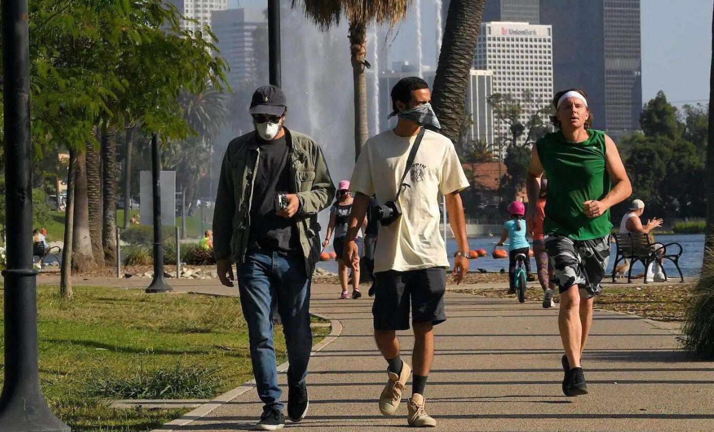 全球疫情实时监测与分析官网，疫情应对与查询新窗口