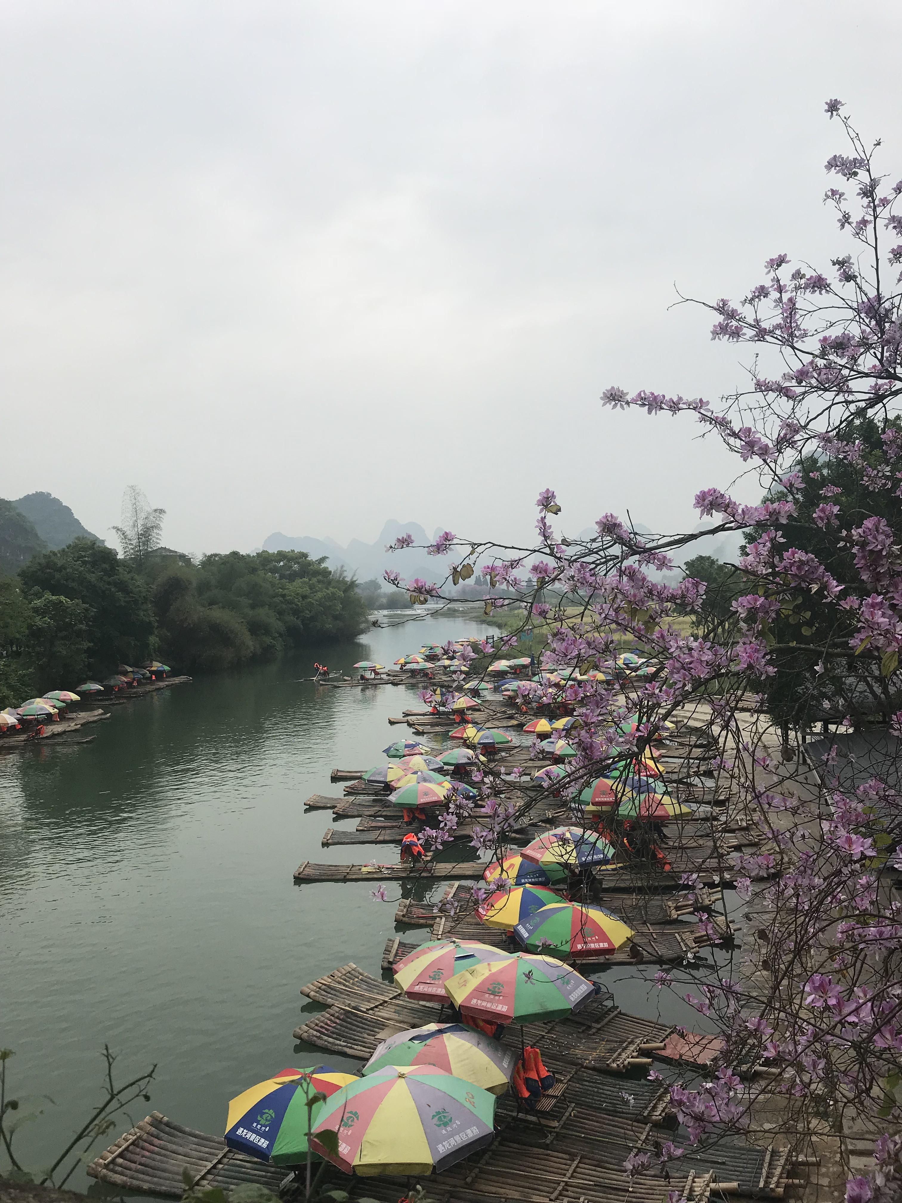 杭州十一月份疫情的挑战与应对策略