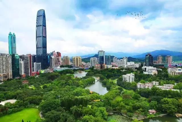 深圳南山，疫情之下的坚韧与希望之光