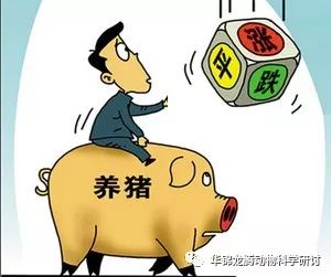 全球共同抗击疫情蔓延的战争历程