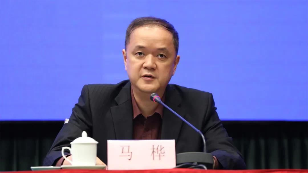 全球疫情最新数据解析，态势分析与应对策略深化探讨