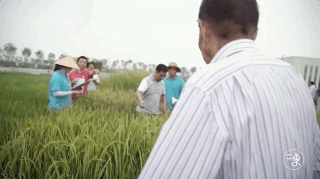全球疫情最新动态报告（2月6日更新数据）