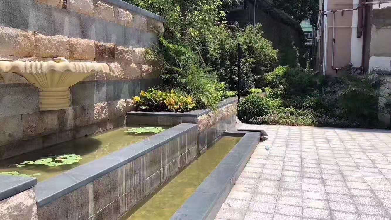 深圳疫情最新动态深度解析