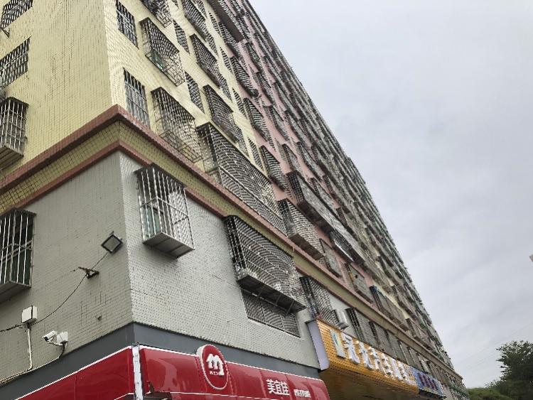深圳疫情最新数据报告，城市防控措施与态势深度解析