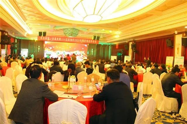 江苏疫情最新动态，坚定信心，共克时艰