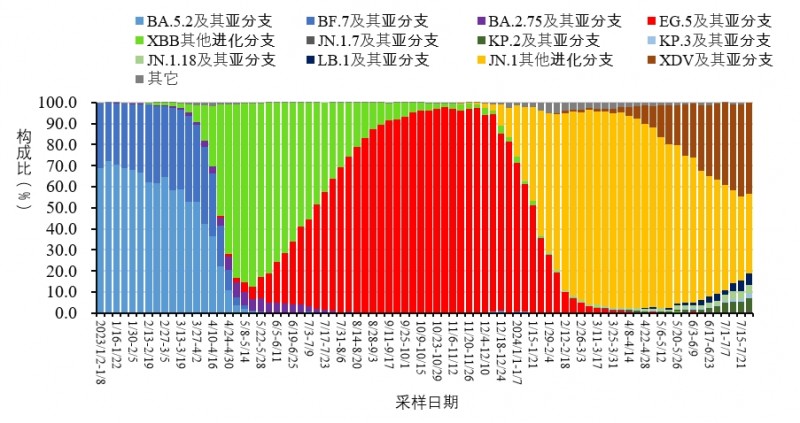 全球疫情最新进展报告，挑战与希望交织前行之路