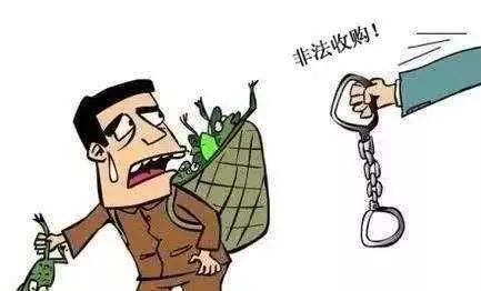全球疫情回顾与反思，疫情开始的时间点及其影响