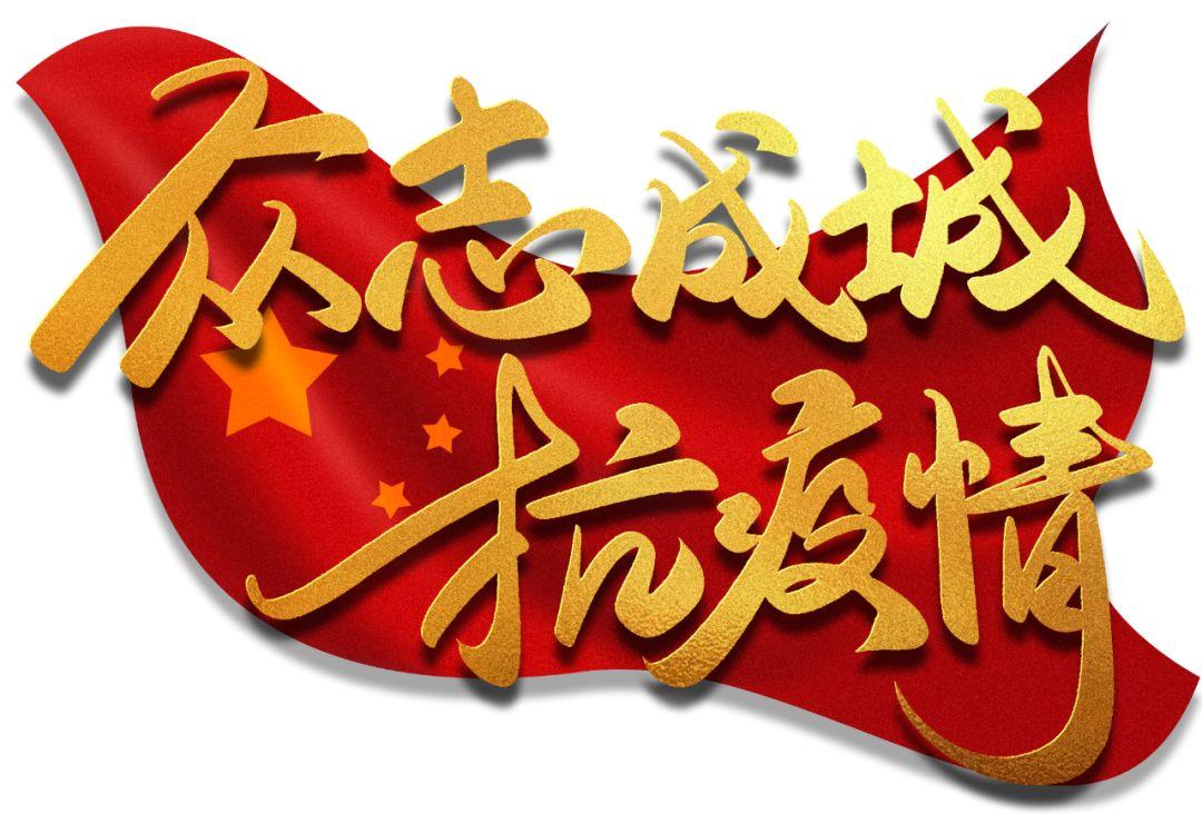 全球疫情最新数据深度解析报告