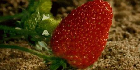 全球疫情最新数据消息与动态分析，应对策略详解