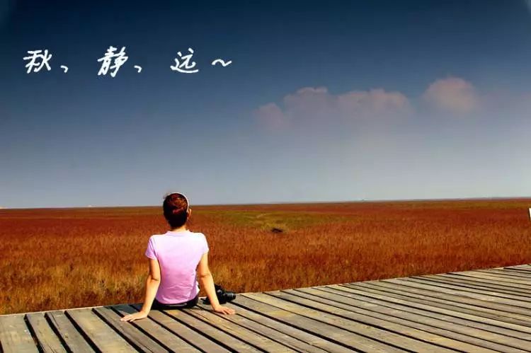宁静之美的坚守与希望之光，全国无疫情之地的温馨画卷