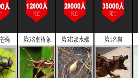 全球新冠疫情死亡人数排行榜揭晓