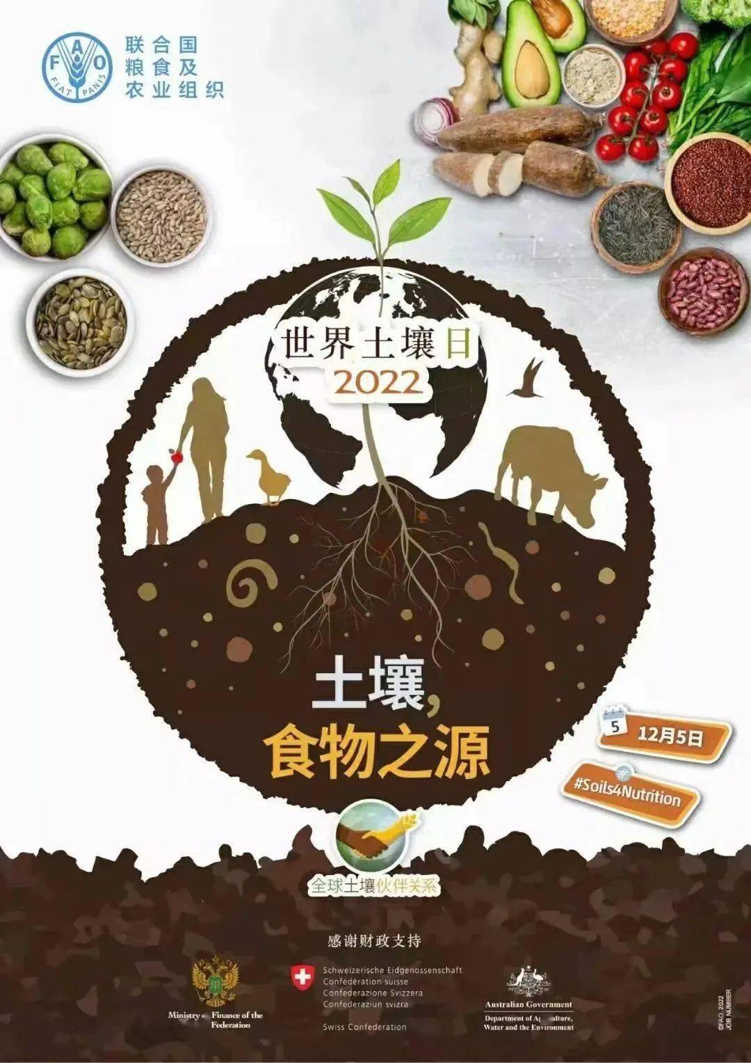 无疫之省的净土探索