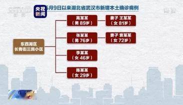 武汉疫情猛烈反弹，挑战与应对策略