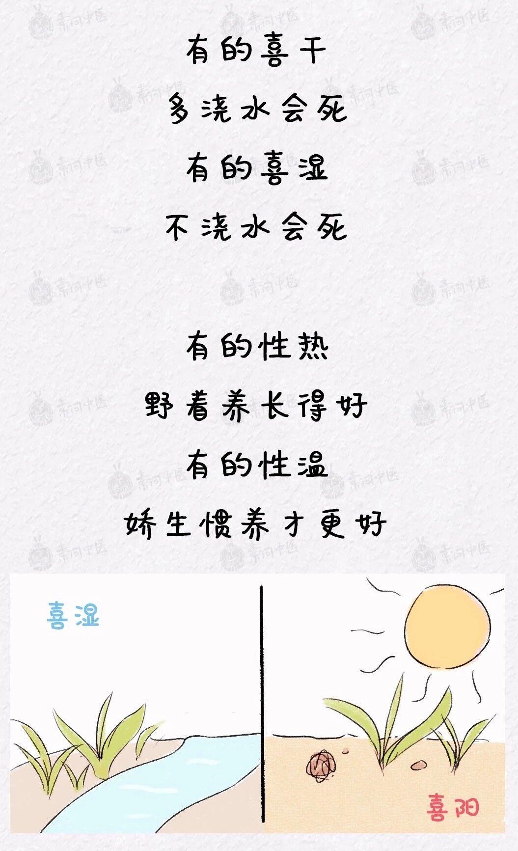 疫情下的家教生活与免费阅读漫画完整版，探索家教新方式与娱乐的平衡