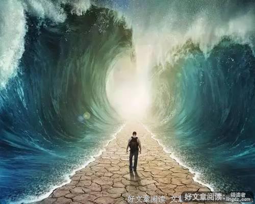 三年疫情两年疗愈，逆境中的挑战与希望之路