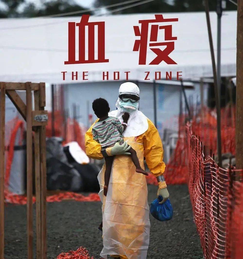 疫情下中国失去的生命，背后的故事与深刻反思