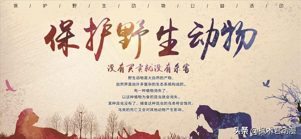 疫情死亡高峰，全球的挑战与反思