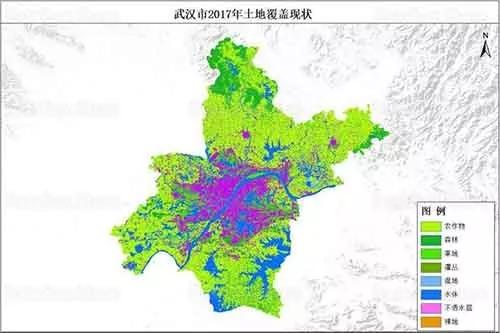 湖北省2020年疫情死亡人数及其深远影响